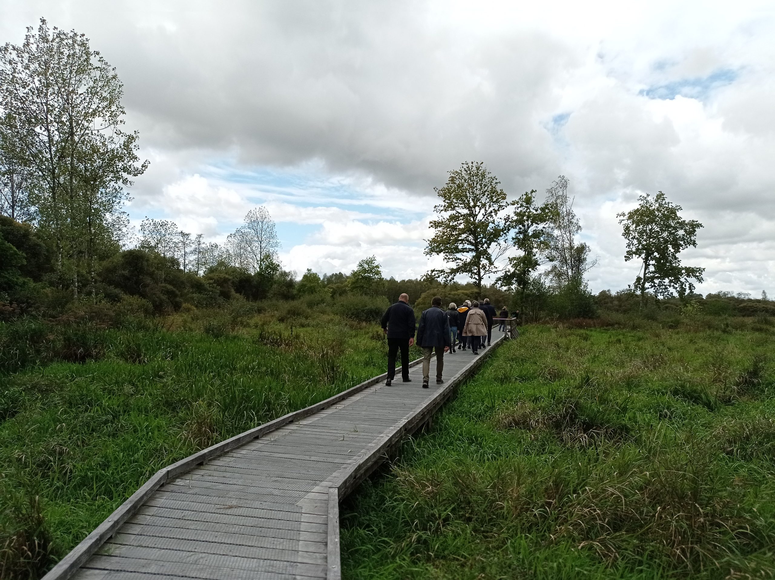 Les élus découvrent les passerelles aménagées autour du marais du Grand Hazé