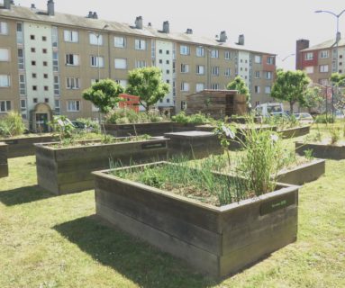 La Fête des jardins, à Flers