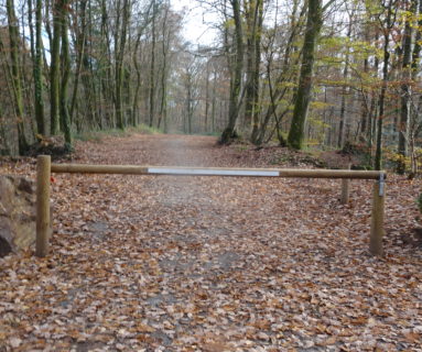 La Ville de Flers préserve la forêt de Halouze