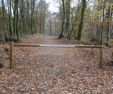 La Ville de Flers préserve la forêt de Saint-Clair-de-Halouze