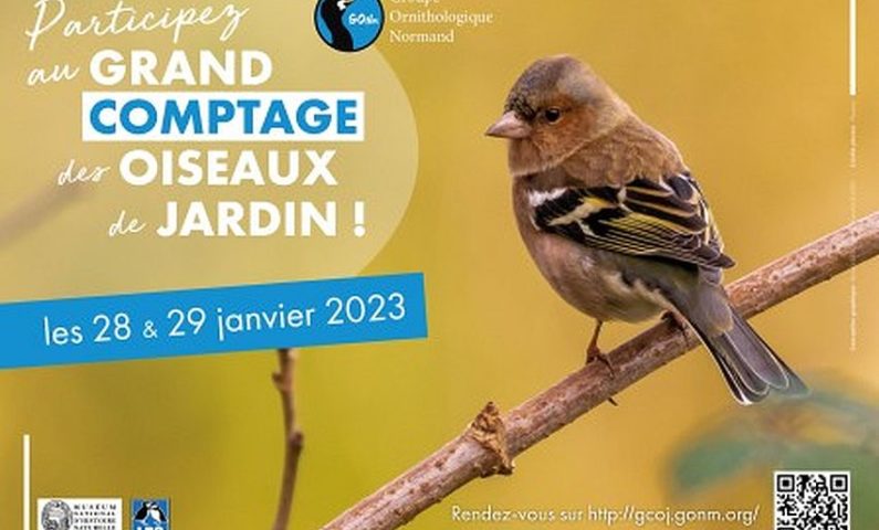 Affiche-GCOJ-2022-m