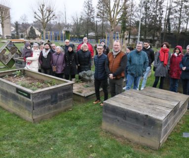 À Flers, la saison reprend aux jardins partagés Papilles et Papillons