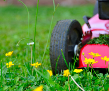 Travaux de bricolage ou de jardinage, à Flers : les horaires à respecter