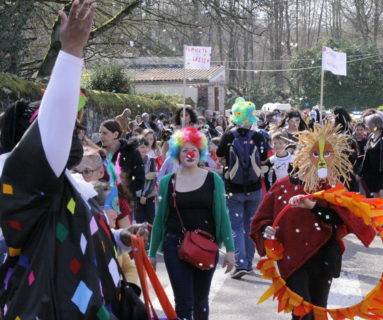 Carnaval à Flers dimanche 19 mars