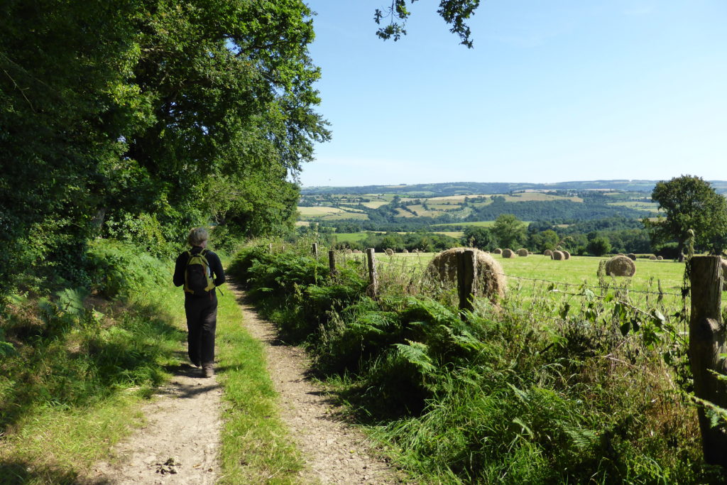 Photo 1. Vallée du Noireau