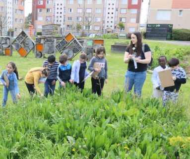 À Flers, les élèves du quartier Saint-Michel vont créer des îlots de fraîcheur