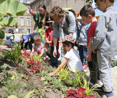 Château de Flers : des maternelles de Sévigné-Paul-Bert participent aux plantations