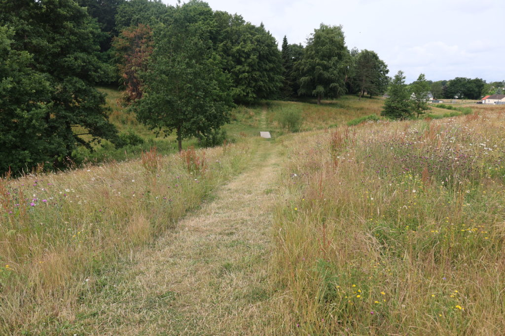 Vallée de la Fouqerie Flers juin 2023 (1)