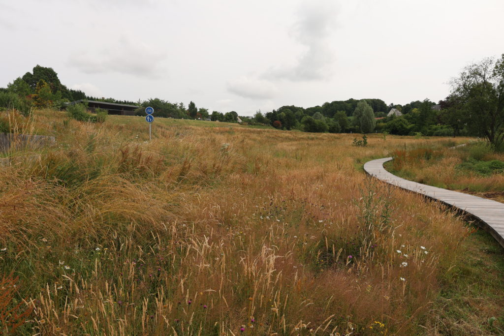 Vallée de la Fouqerie Flers juin 2023 (2)