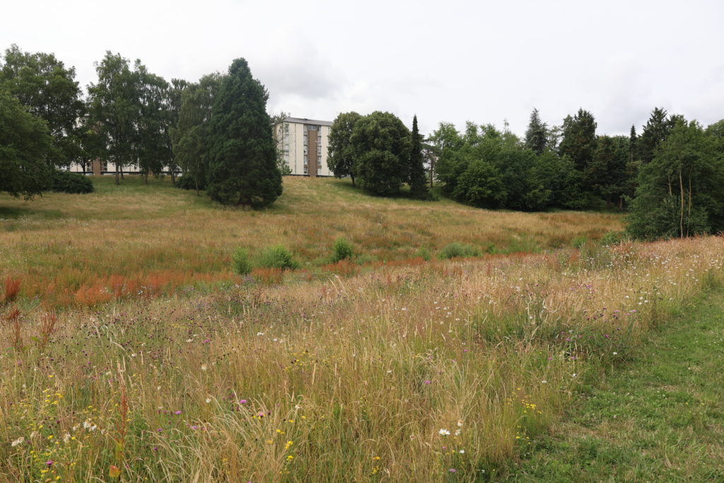 Vallée de la Fouqerie Flers juin 2023 (3)