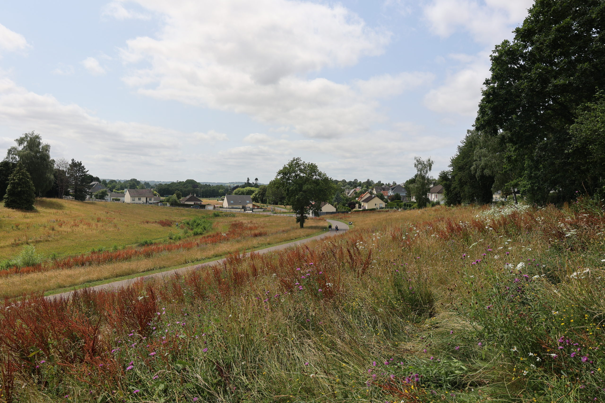2023.07.03 Vallée de la Fouquerie - Nichoirs à chauve-souris (4)