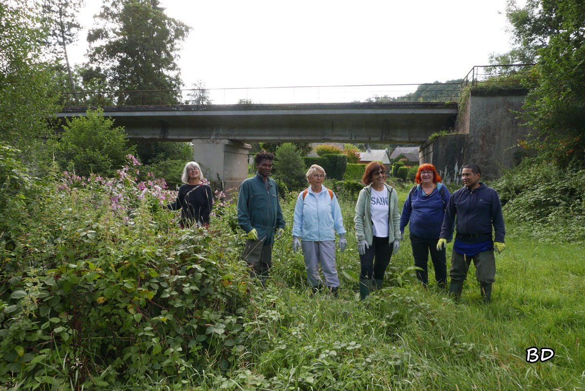 Les bénévoles de l'association AEVN se sont de nouveau mobilisés. pour lutter contre cette plante invasive.