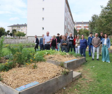 Plusieurs nouveautés aux jardins partagés l'Îlot-Saveurs, à Flers