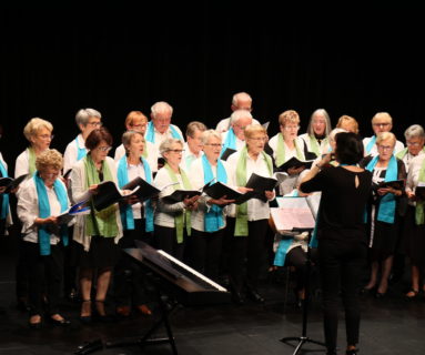 Théâtre, concert, conférences... une semaine dédiée aux seniors à Flers