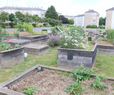 La Fête des jardins clôturera la Semaine du Goût à la maison d'activités Saint-Michel, à Flers