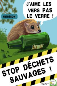 Le hérisson n'aime pas le verre. !