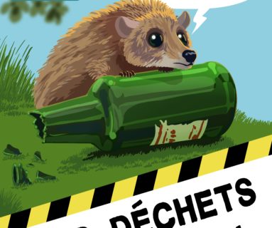 Stop aux déchets sauvages !