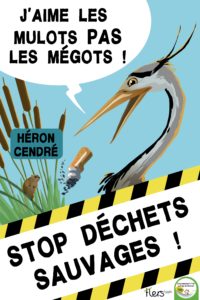 Le héron cendré n'aime pas les mégots !