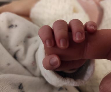739 bébés sont nés à Flers en 2024
