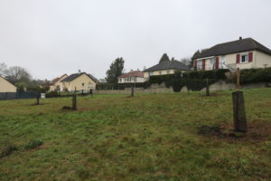Douze variétés de pommiers seront greffées début avril 2024 dans la vallée de la Fouquerie à Flers