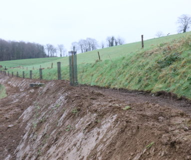 Flers Agglo : 6 km de haies sur talus ont été plantés cet hiver