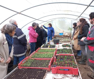 Un rallye bio territoire