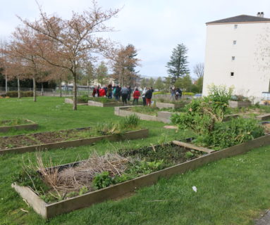 La saison repart aux jardins partagés, à Flers !