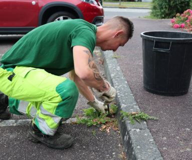Herbes sauvages et propreté en ville : une affaire collective