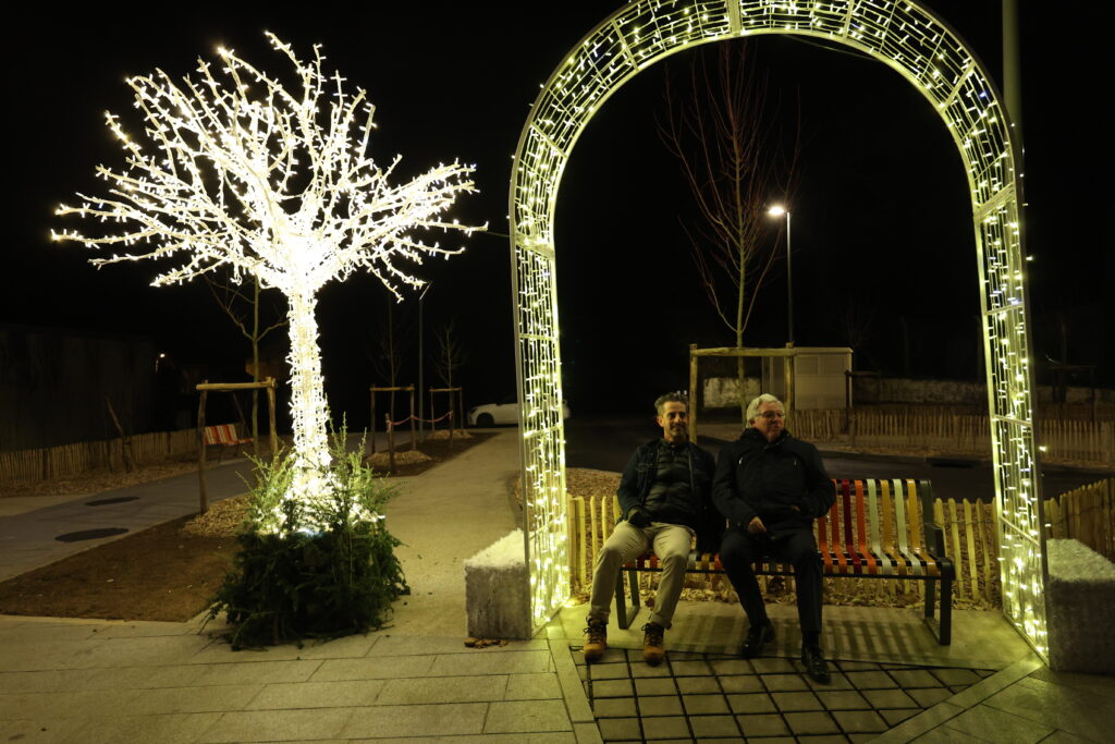 Subay Sahin, adjoint au maire délégué à l’attractivité commerciale, et Yves Goasdoué, maire de Flers, inaugurent l'arche et l'arbre lumineux remportés au concours national de la fédération nationale des centres-villes.