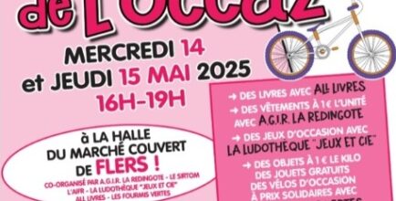 Le marché de l'occaz'