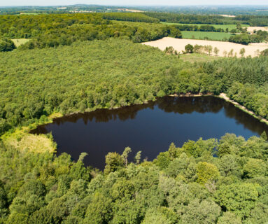 Balade nature / Au fil des araignées