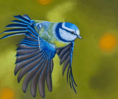 Exposition peintures et photos - Antonio Gomes