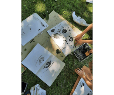 Les bases du dessin