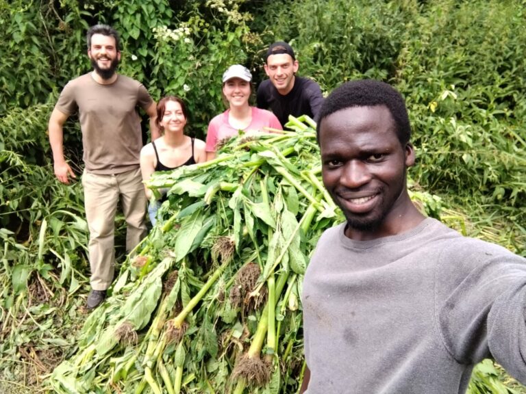 Un groupe de bénévoles © Flers Agglo