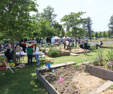 Une soirée concerts gratuite aux jardins partagés, quartier Saint-Sauveur, à Flers