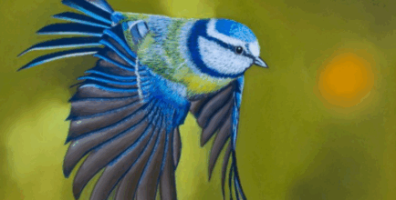 Exposition peintures et photos - Antonio Gomes