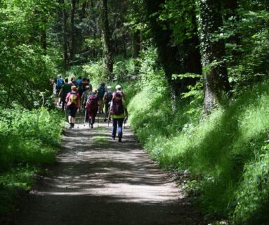 Les Rendez-vous de l'été- randonnée Sentier des collines