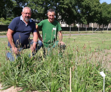 Un pollinarium à Flers : bientôt un nouveau service aux personnes allergiques aux pollens