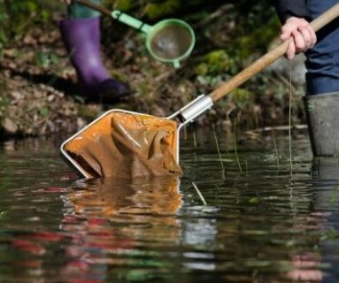 Sortie nature - Que de vie dans la rivière !