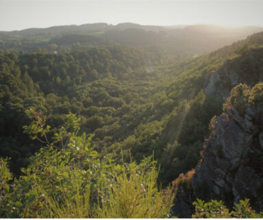 Balade nature - Contes & Nature