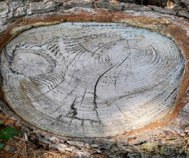 Exposition Nature'Elles
