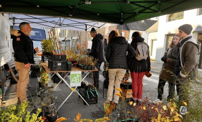 Foire de la Sainte-Catherine