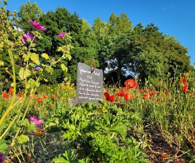 Visite des sens au jardin de l'Etre