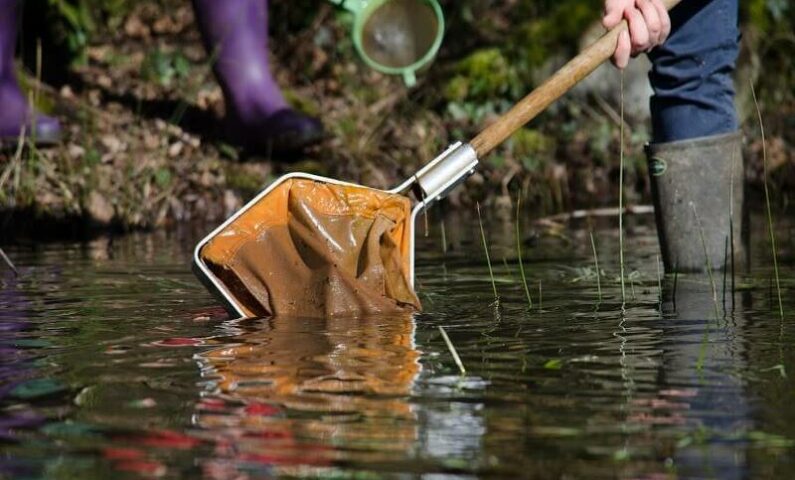 Roche d’Oëtre sauvage et tumultueuse 14 août 800
