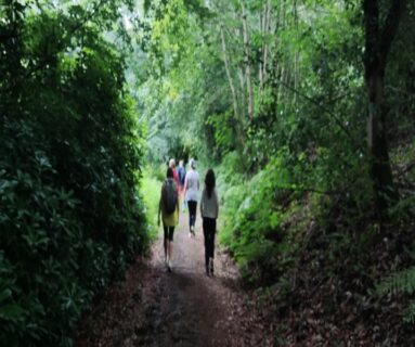 La Marche et Yoga