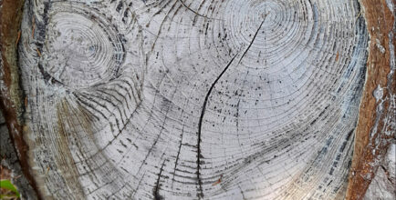 Exposition Nature'Elles