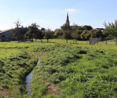 À Saint-Georges-des-Groseillers, le ruisseau des Nouettes renaturé