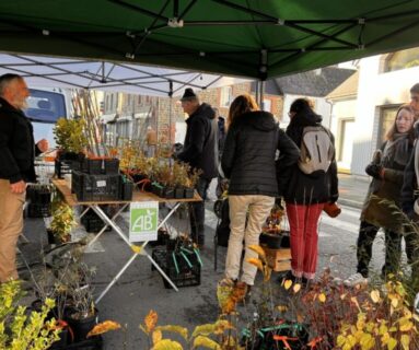 Foire de la Sainte-Catherine