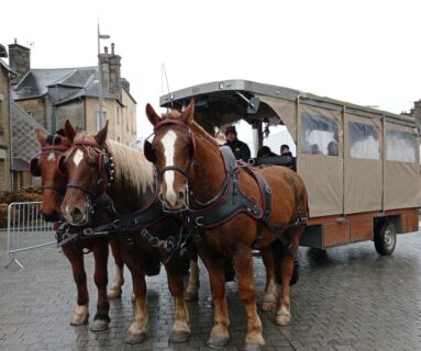 Les Emmitou'Flers : balades en calèche avec le Père Noël
