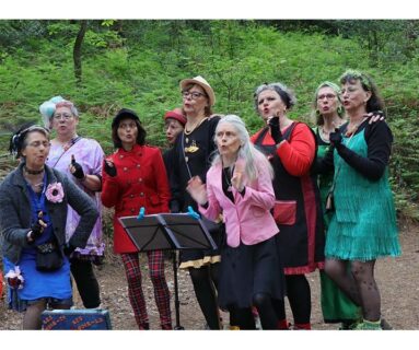 Festival de la Voix - Les Voix-ci, les Voix-là